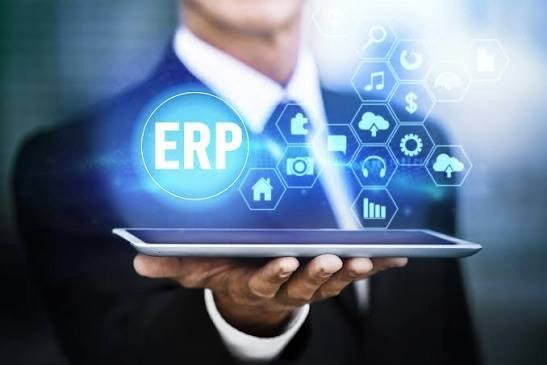 ERP Systems Development